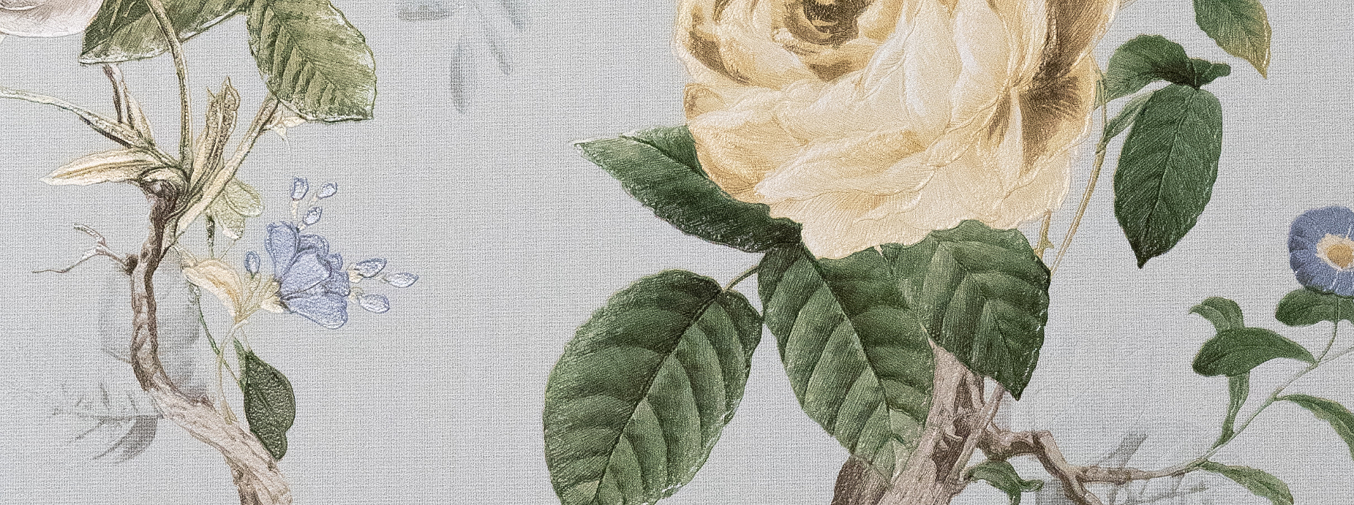 Изображение Andrea Rossi Cavoli 54421-5