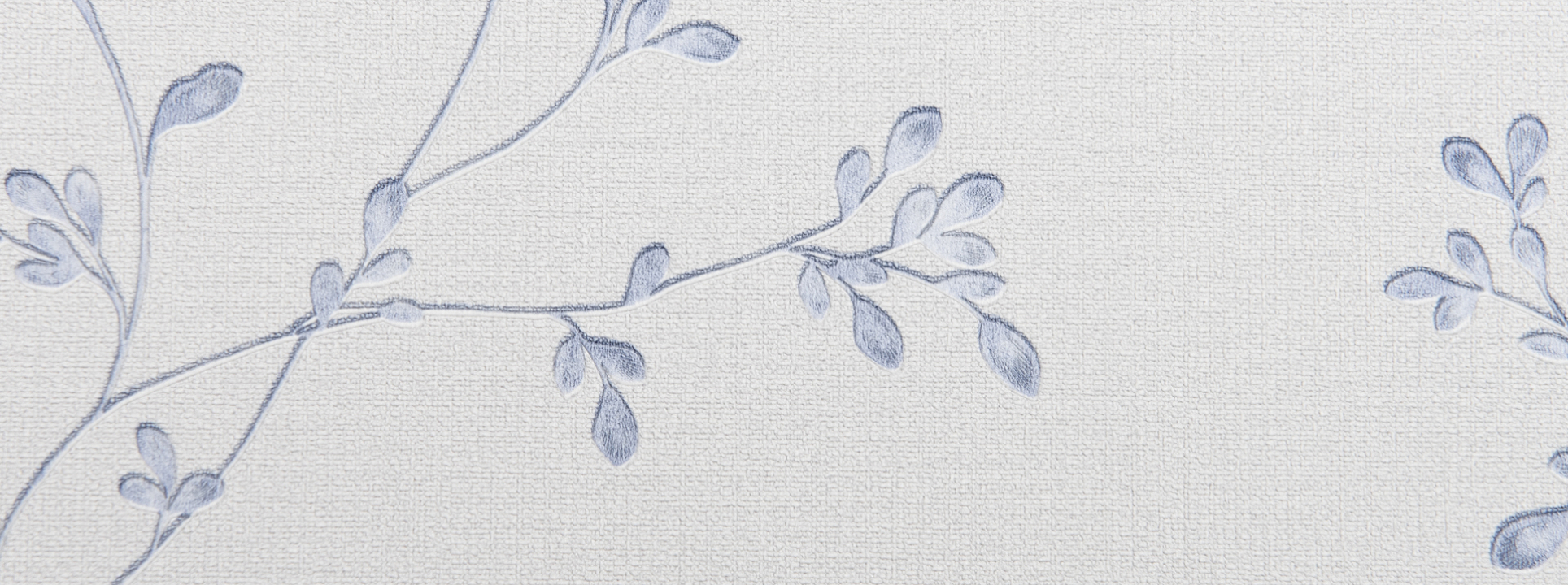 Изображение Andrea Rossi Spectrum PRO 54382-5