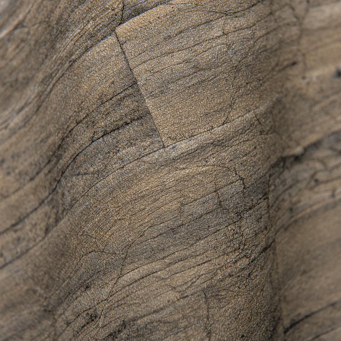 Rasch Curiosity 537031 — картинка №3
