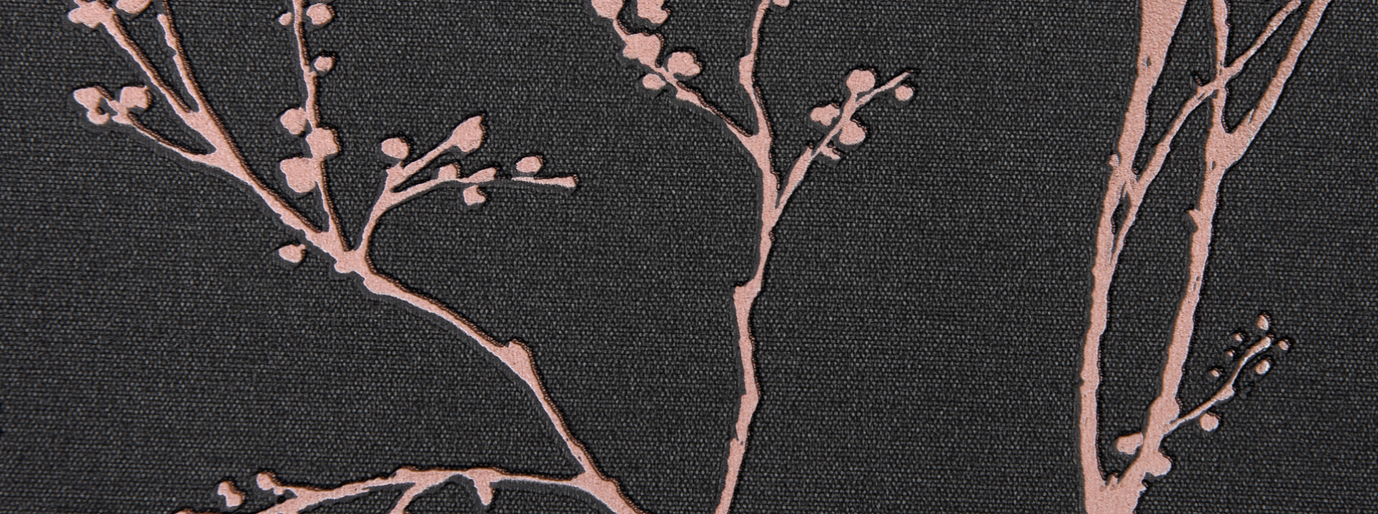 Изображение Andrea Rossi Spectrum MAX 54360-7