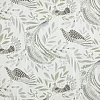 Jwall Paraiso 50301 — картинка №1