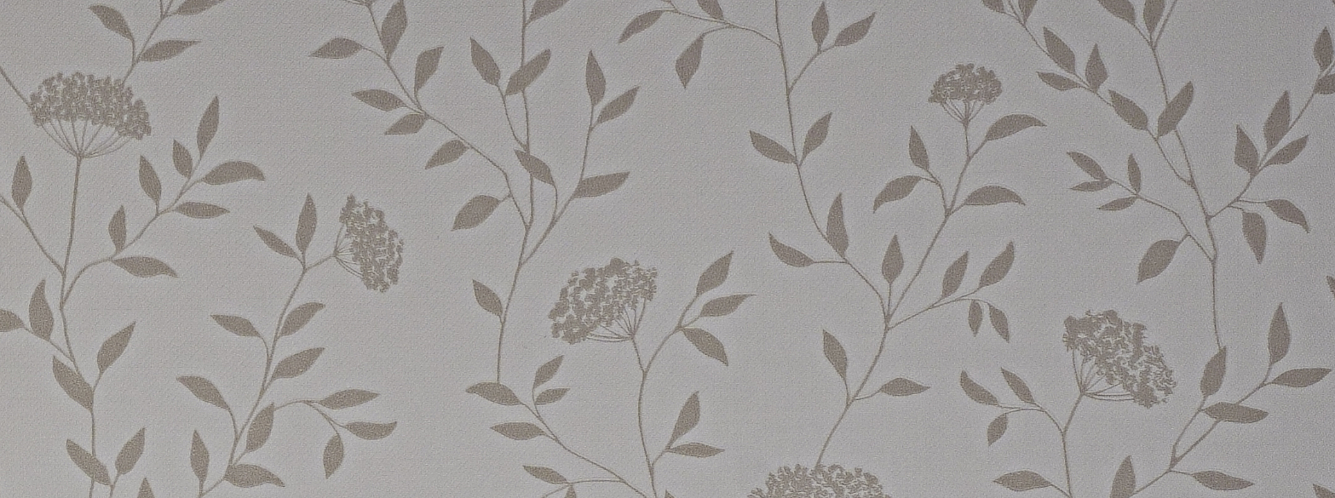 Изображение Andrea Rossi Spectrum Box 54456-1