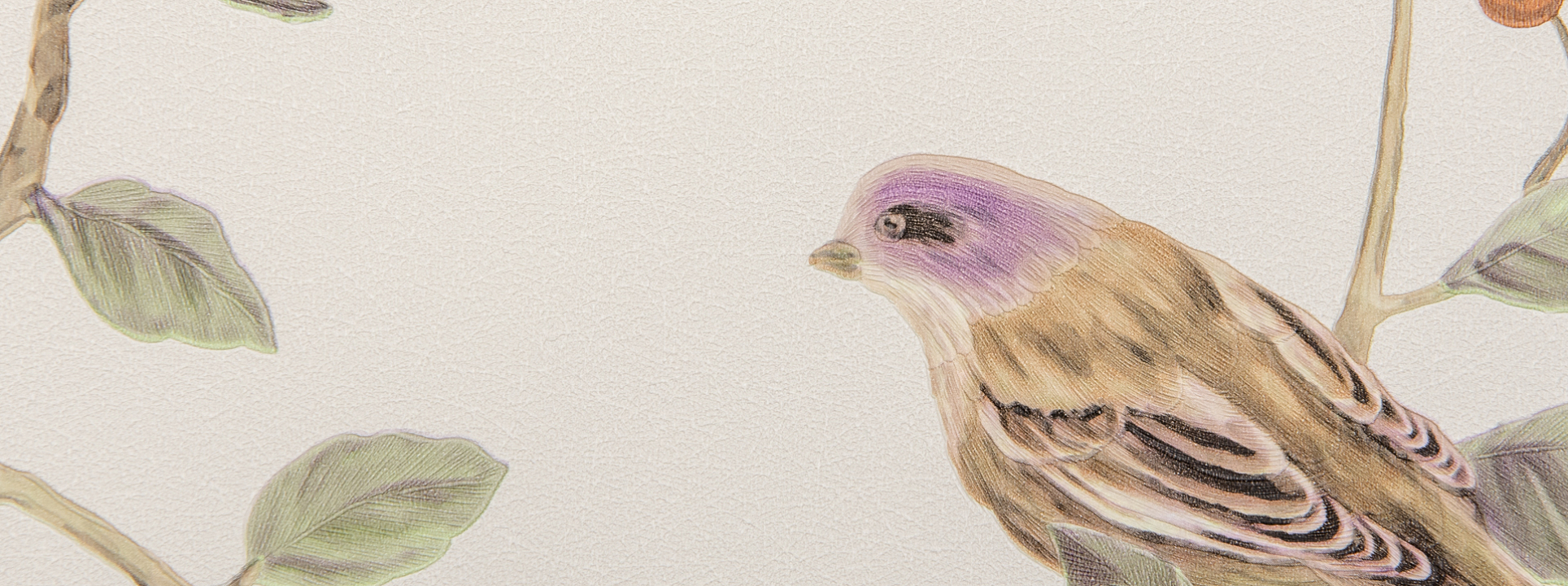 Изображение Andrea Rossi Cheradi 54396-3