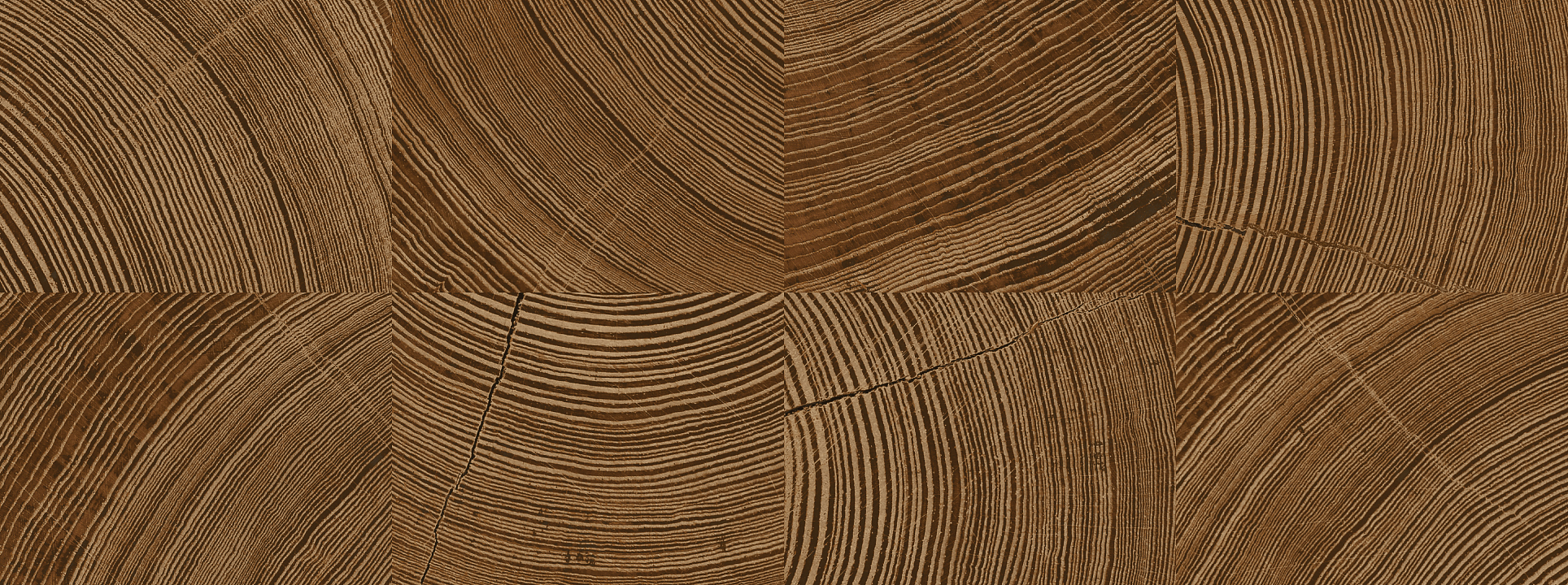 Изображение 69101 A Обои Grandeco"Каруна" 0,53 *10,05 м.