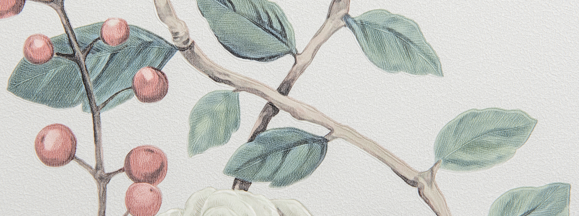 Изображение Andrea Rossi Cheradi 54396-2