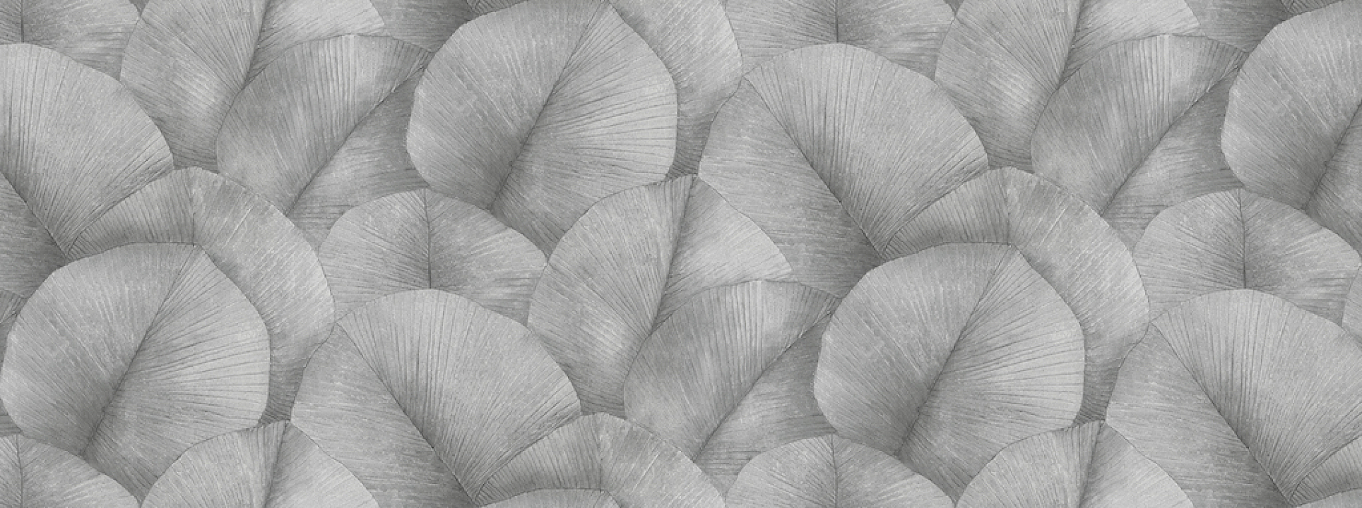 Изображение Marburg Kumano 34558