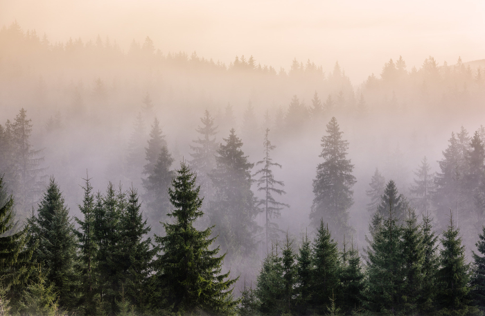 Панно под заказ 51543