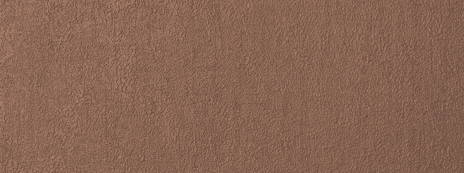 Изображение Alessandro Allori Bodega 2402-4