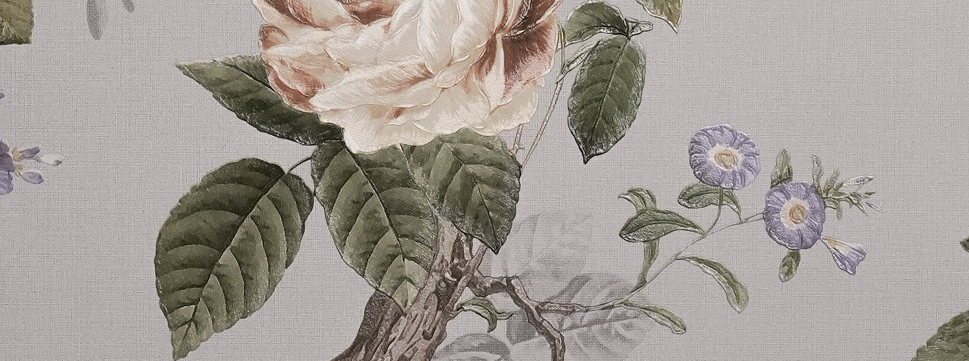 Изображение Andrea Rossi Cavoli 54421-7