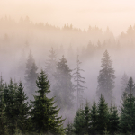 Панно под заказ 51543