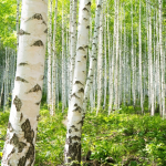 Панно под заказ 30129